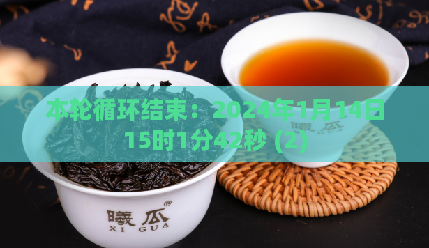 本轮循环结束：2024年1月14日15时1分42秒 (2)
