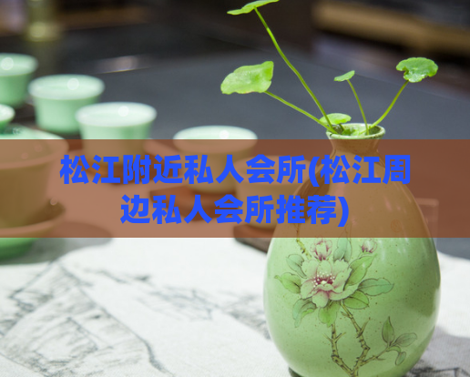 松江附近私人会所(松江周边私人会所推荐)