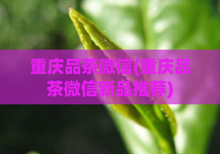 重庆品茶微信(重庆品茶微信新品推荐)