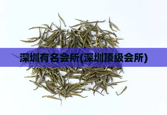 深圳有名会所(深圳顶级会所)
