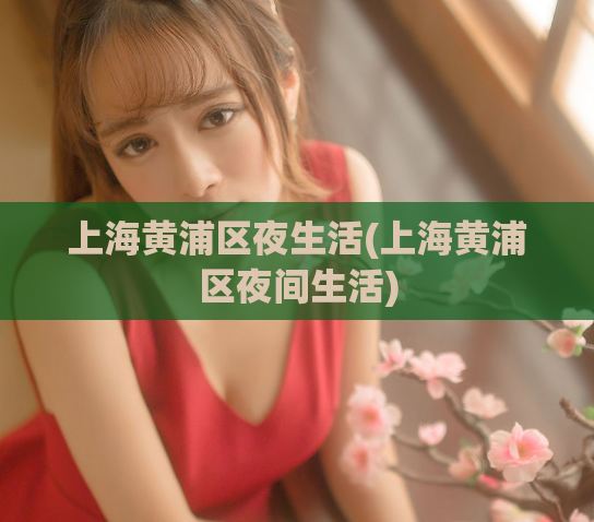 上海黄浦区夜生活(上海黄浦区夜间生活)