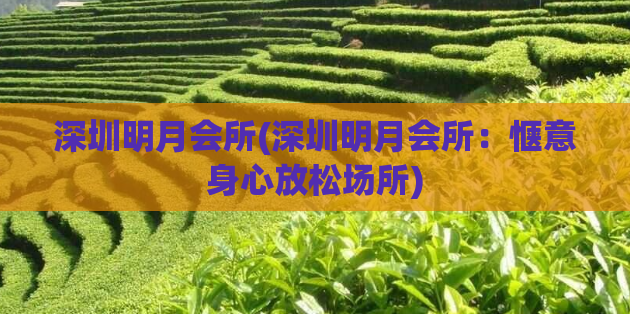 深圳明月会所(深圳明月会所：惬意身心放松场所)