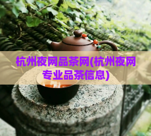 杭州夜网品茶网(杭州夜网专业品茶信息)