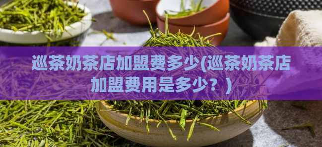 巡茶奶茶店加盟费多少(巡茶奶茶店加盟费用是多少?)