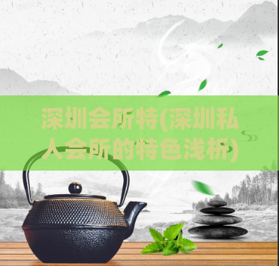 深圳会所特(深圳私人会所的特色浅析)