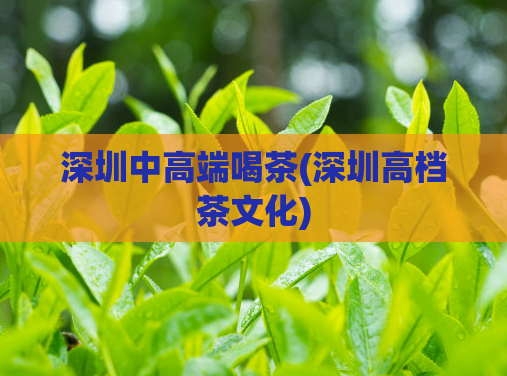 深圳中高端喝茶(深圳高档茶文化)