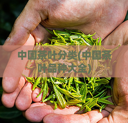 中国茶叶分类(中国茶叶品种大全)