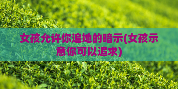 女孩允许你追她的暗示(女孩示意你可以追求)