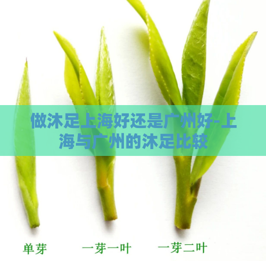 做沐足上海好还是广州好-上海与广州的沐足比较