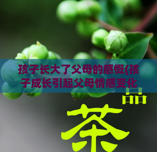 孩子长大了父母的感慨(孩子成长引起父母情感变化)