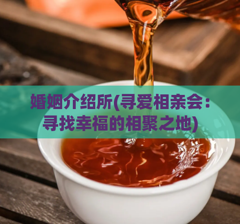 婚姻介绍所(寻爱相亲会:寻找幸福的相聚之地)