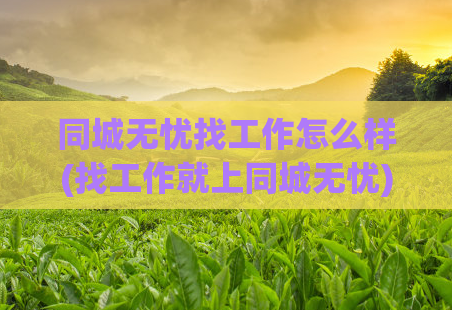 同城无忧找工作怎么样(找工作就上同城无忧)