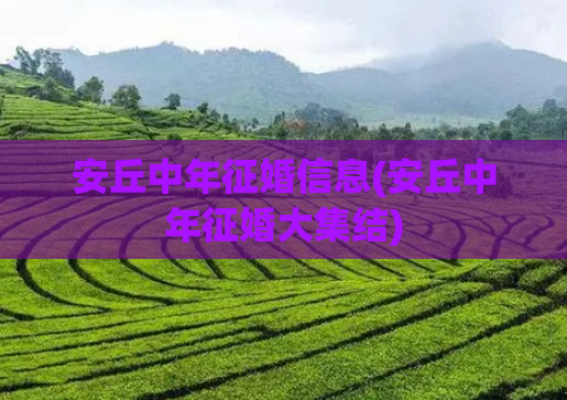 安丘中年征婚信息(安丘中年征婚大集结)