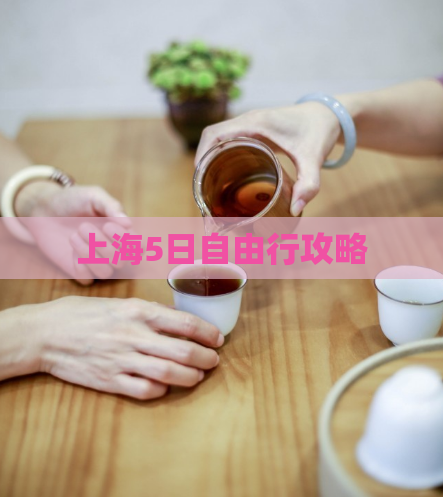 上海5日自由行攻略