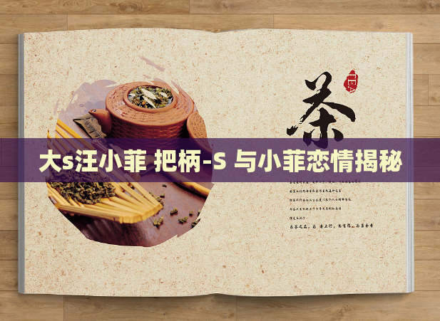 大s汪小菲 把柄-S 与小菲恋情揭秘