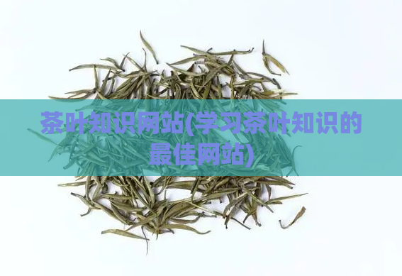 茶叶知识网站(学习茶叶知识的最佳网站)