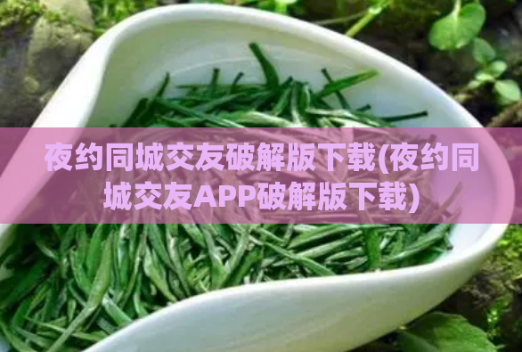 夜约同城交友破解版下载(夜约同城交友APP破解版下载)