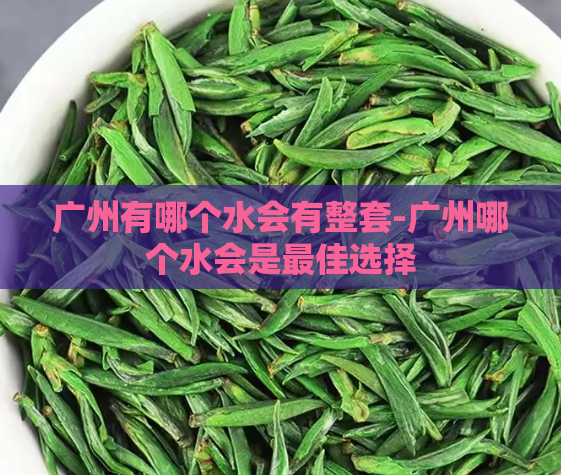 广州有哪个水会有整套-广州哪个水会是最佳选择