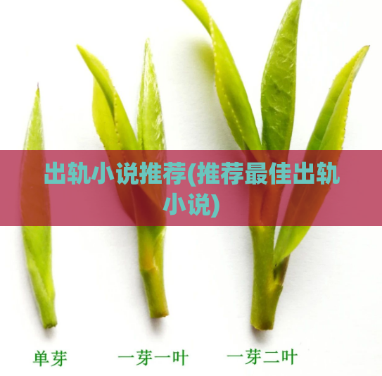 出轨小说推荐(推荐最佳出轨小说)