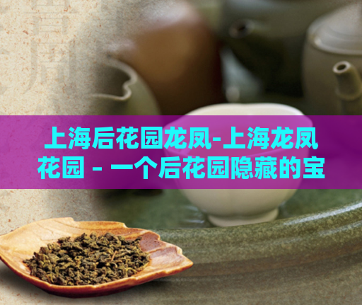 上海后花园龙凤-上海龙凤花园 – 一个后花园隐藏的宝藏