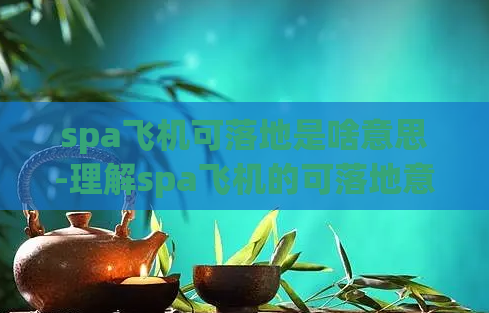 spa飞机可落地是啥意思-理解spa飞机的可落地意义