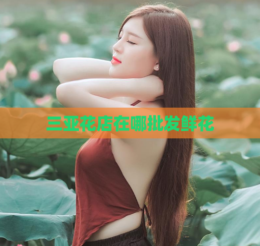 三亚花店在哪批发鲜花
