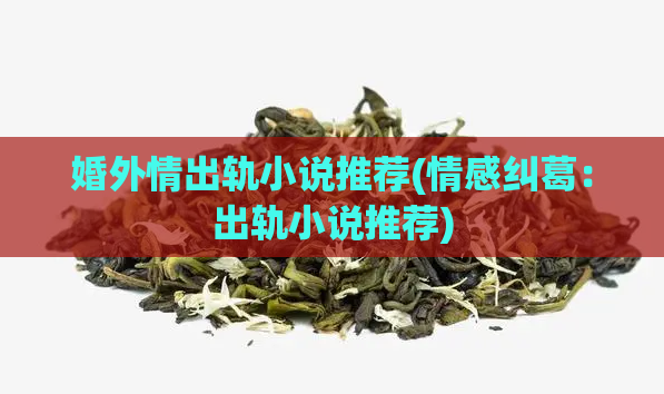 婚外情出轨小说推荐(情感纠葛：出轨小说推荐)