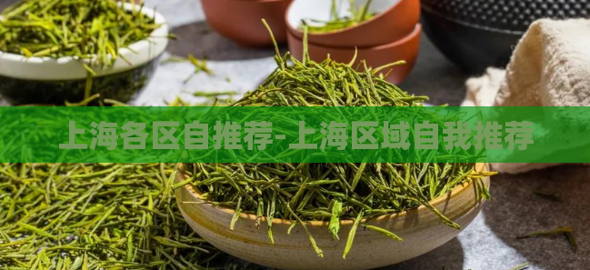 上海各区自推荐-上海区域自我推荐