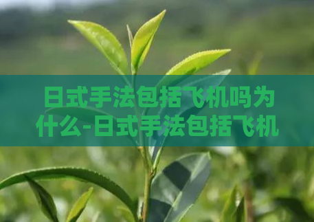 日式手法包括飞机吗为什么-日式手法包括飞机吗解析