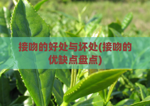 接吻的好处与坏处(接吻的优缺点盘点)