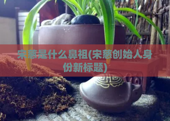 宋慈是什么鼻祖(宋慈创始人身份新标题)