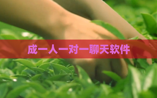 成一人一对一聊天软件