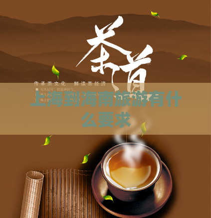 上海到海南旅游有什么要求