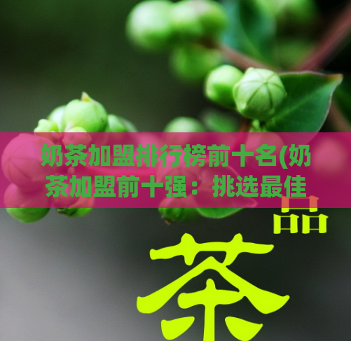 奶茶加盟排行榜前十名(奶茶加盟前十强：挑选最佳商机，开启梦想创业之旅！)
