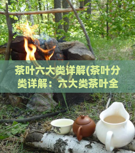茶叶六大类详解(茶叶分类详解：六大类茶叶全解析)
