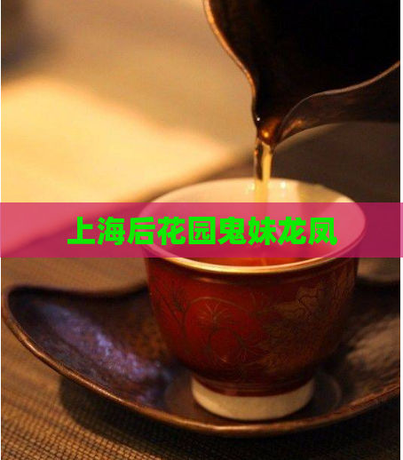 上海后花园鬼妹龙凤