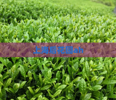 上海后花园ah