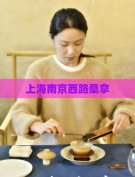 上海南京西路桑拿