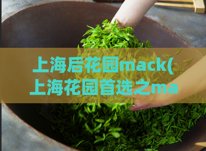 上海后花园mack(上海花园首选之mack)