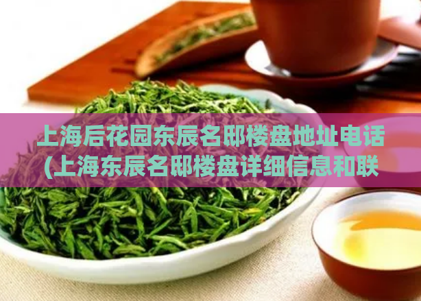 上海后花园东辰名邸楼盘地址电话(上海东辰名邸楼盘详细信息和联系方式)