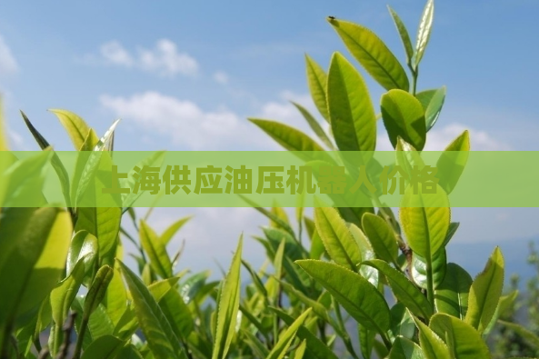 上海供应油压机器人价格