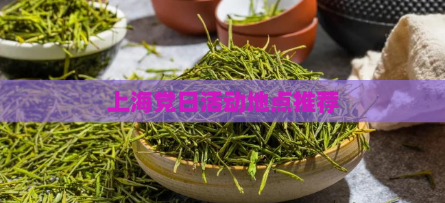 上海党日活动地点推荐