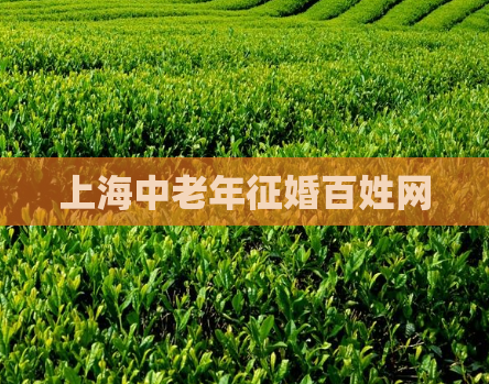 上海中老年征婚百姓网