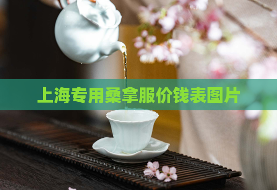 上海专用桑拿服价钱表图片