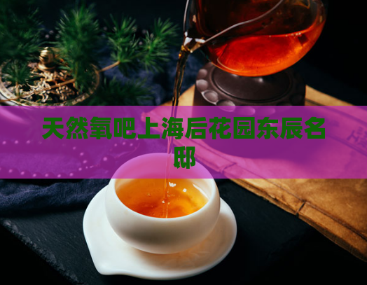 天然氧吧上海后花园东辰名邸