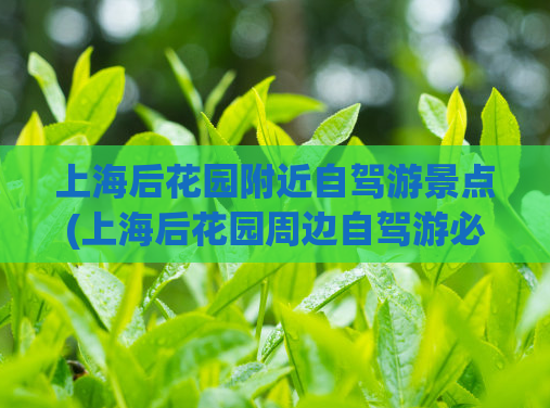 上海后花园附近自驾游景点(上海后花园周边自驾游必打卡景点推荐！)