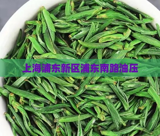 上海浦东新区浦东南路油压