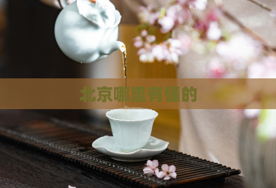 北京哪里有懂的