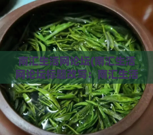 南汇生活网论坛(南汇生活网论坛标题改写：南汇生活网论坛，便民服务实用专业！)