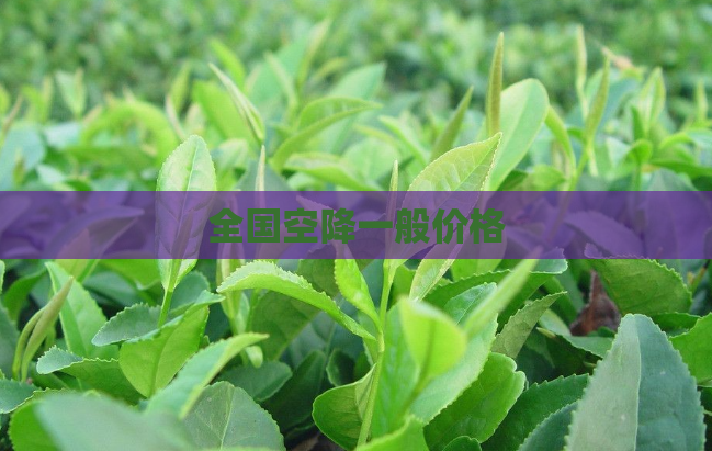 全国空降一般价格